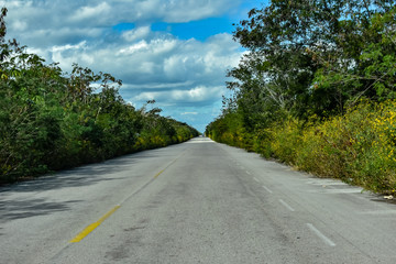Road in Yucatan Mexico