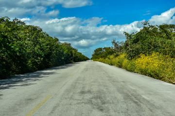 Road in Yucatan Mexico