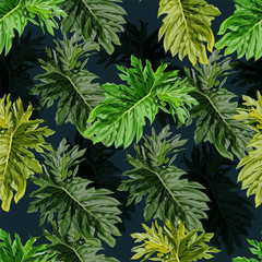 Tropical leaf seamless pattern -vector
