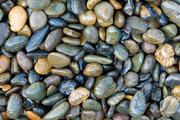 many small rock on the floor.