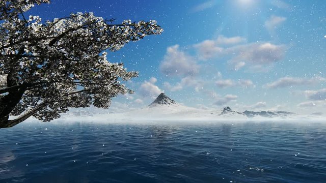 Cherry and Fuji Mountain in winter, Japan, focus shift