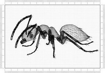 Ant Architect Blueprint 