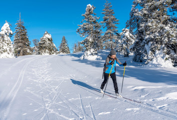 Fototapeta na wymiar Woman cross country skiing