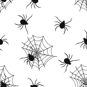 Seamless pattern with spider on web