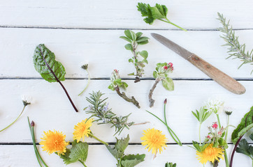 essbare Blüten Blätter Kräuter Garten