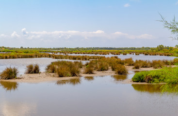 Regional Nature Park of the Camargue
