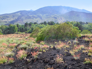 Fototapeta premium around Mount Etna
