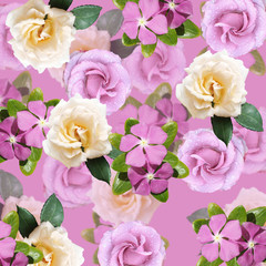 Beautiful floral background of phlox and roses. Isolated  