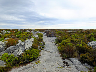 Table Mountain, Cape town, South Africa
