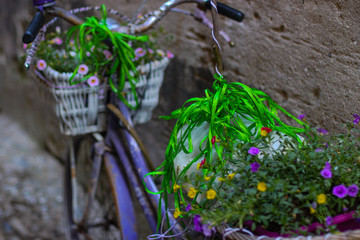 Bike decorated with purple, yellow and pink flowers in baskets on the stone street of medieval city