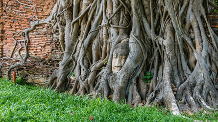 Fototapeta na wymiar Buddha Face in the root of a tree - Ayutthaya, Thailand