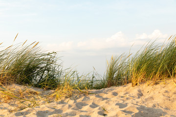 dunes at north sea germany sunset