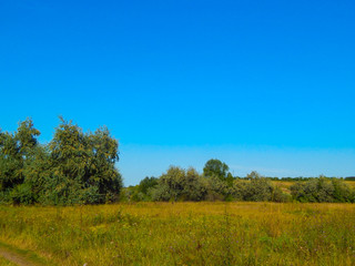 Obraz premium Beautiful summer landscape at sunset. Countryside meadow