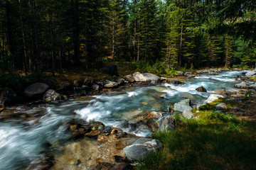 Summer landscape of mountain river among green trees. Sunlit river in the mountain forest. Picture of beautiful nature.