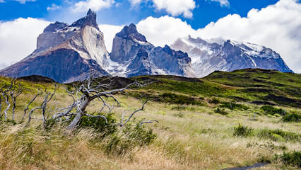Torres Paine NP