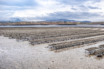 Oyster farming and oyster traps, floating mesh bags by Carrickfinn in County Donegal, Ireland