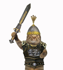 Cat warrior with a biThe cat warrior in a helmet and a cuirass raises a sword. White background. Isolated.g sword