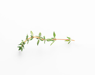 thyme isolated on white background