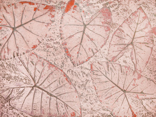 leaf of tropical plant in printed on concrete surface for background