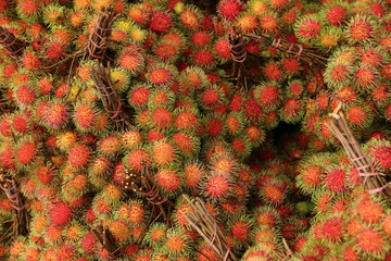 Fototapeta premium Rambutan wallpaper background