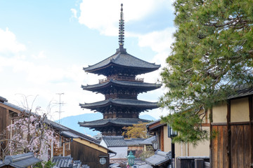 Obraz premium 八坂の塔 京都祇園