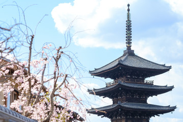 八坂の塔　京都祇園