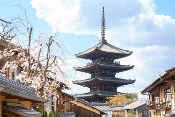 Fototapeta premium 八坂の塔 京都祇園