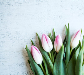 Bunch of pink tulips on white wooden table. Banner with copy space - Image