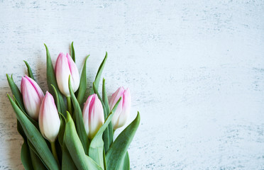 Bunch of tulips on white wood table, copyspace for text on right side