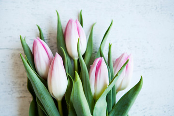 Bunch of pink tulips on white wooden table. Banner with copy space - Image