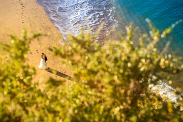Beautiful wedding couple posing on beach