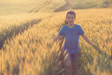 Naklejka na ściany i meble the boy, smiling, walks over the golden wheat field, spreading his arms to the sides, stroking the wheat, the concept of harvest