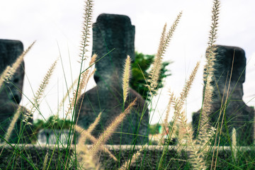 Moai are monolithic human figures carved by the Rapa Nui people on Easter Island in eastern...
