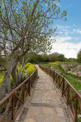 Afrodisias Ancient City, Karacasu - Aydin - Turkey