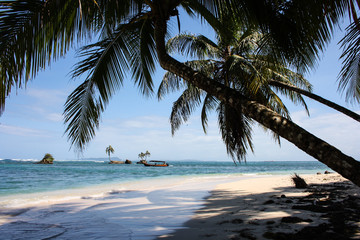 Palm trees on the beach of Cayo Zapatilla, Bastimentos Island, Panama