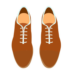 vector, isolated, top view shoes, laces