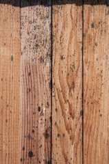 Closeup of a wooden wall