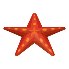 Sea star cartoon isolated