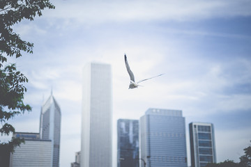 Fototapeta na wymiar Chicago city life landscape 