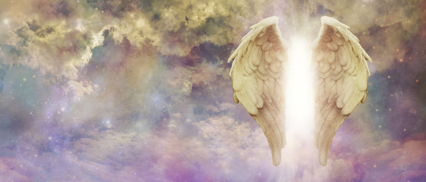 Ангелы света дзен фото Colorful Angel Wings Изображения: просматривайте стоковые фотографии, векторные 