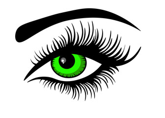 Beautiful green woman eye. Vector