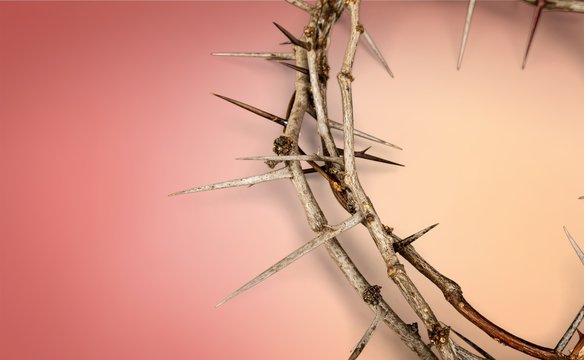 Crown of thorns on background ,represents Jesus's Crucifixion on the Cross, dying and then rising on Easter Sunday.