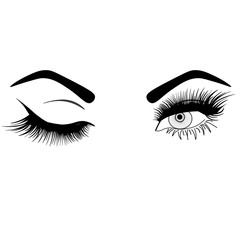 Female eyes isolated on white background, cartoon style vector illustration