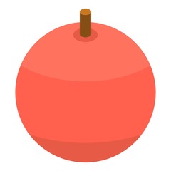 Red apple icon. Isometric of red apple vector icon for web design isolated on white background