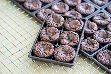 Brownies placed in a tray