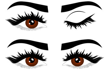 Brown eyes, eyelashes and eyebrows..