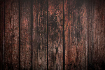 the background of a tree