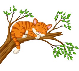 Cartoon cat sleeping on the branch