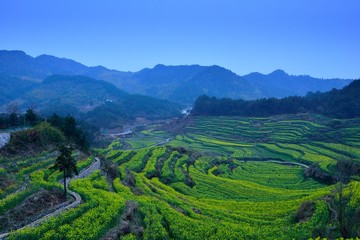 Fototapeta na wymiar Terraces in Anhui,China
