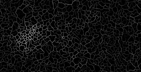 abstract wallpaper background black white pattern cpmputer generated